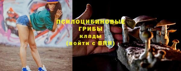 прущие грибы Беломорск