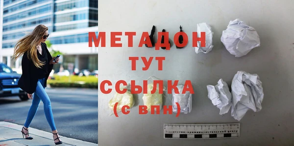 прущие грибы Беломорск
