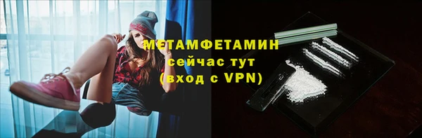 прущие грибы Беломорск