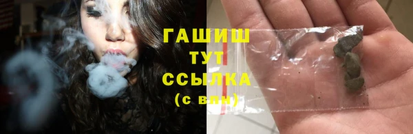 прущие грибы Беломорск