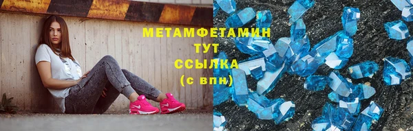 прущие грибы Беломорск