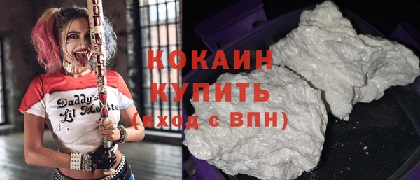 прущие грибы Беломорск