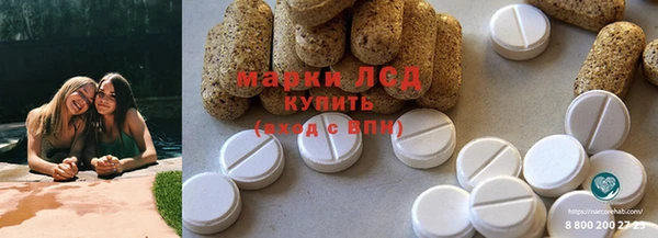 прущие грибы Беломорск